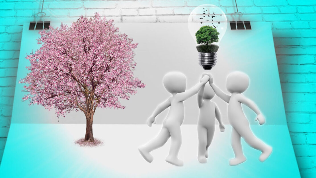 Project Management in Telecom and ICT Industry - Telecontran Limited