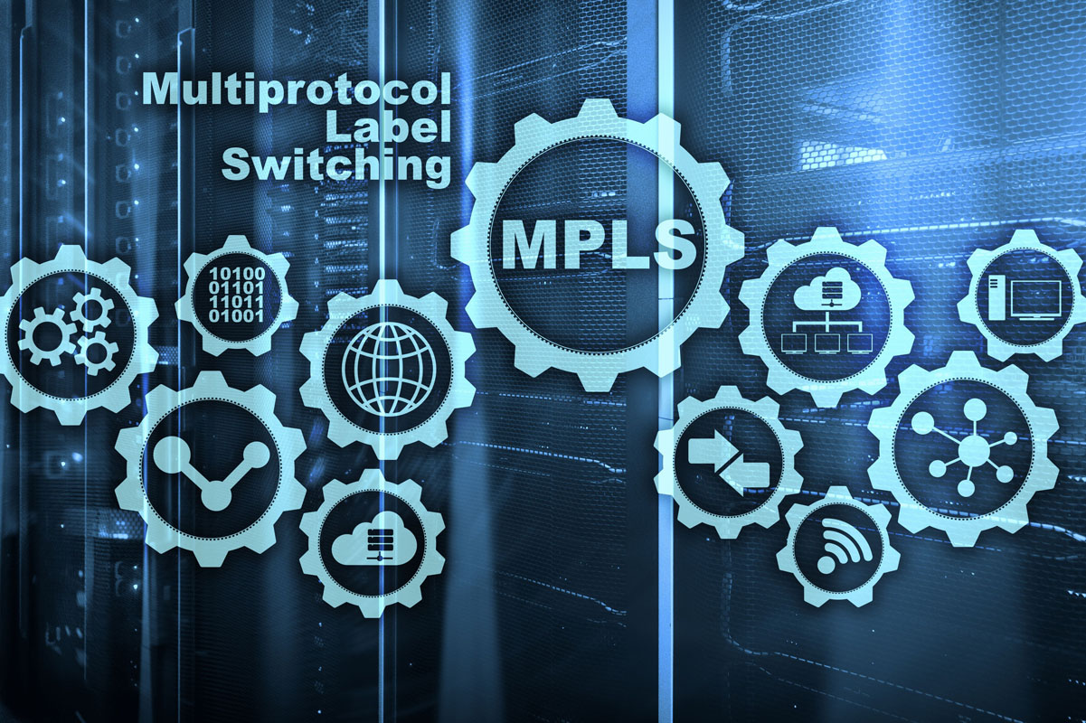 MPLS/IP Traffic Engineering and Carrier Ethernet Services